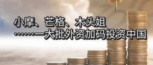 【紧急】账号审核不给提现?揭秘解决之道,让你轻松应对! 【紧急】账号审核不给提现?揭秘解决之道,让你轻松应对!