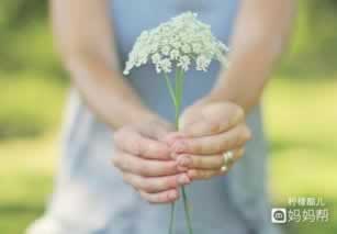 破解365账号被限制困境：谈判技巧全解析