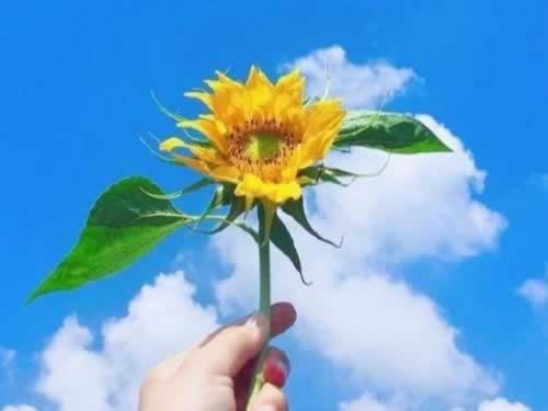 云闪付取款教程