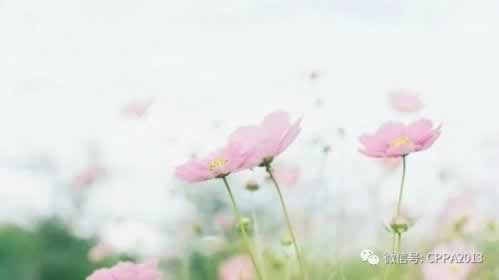 【揭秘】365维修平台:好用吗?知乎用户真实评价大揭秘! 【揭秘】365维修平台:好用吗?知乎用户真实评价大揭秘!