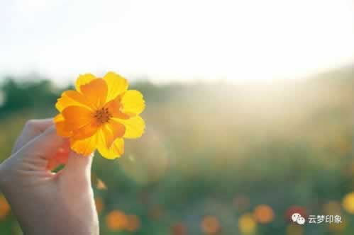 【揭秘】提款不成功背后的真相：揭秘常见原因及应对策略