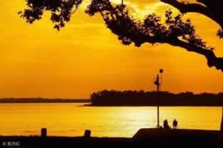 账号审核不给提现？别慌，这里有实用方法帮你解决！