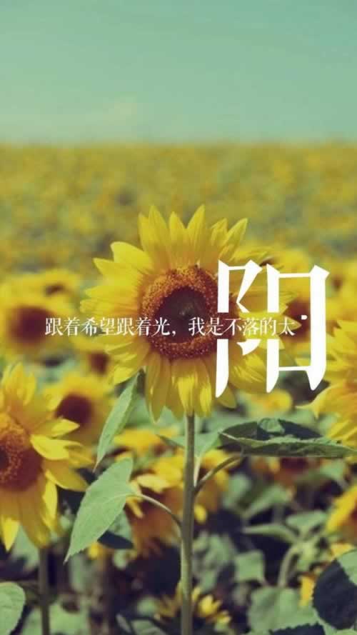 【紧急攻略】被黑了取不出钱怎么办？轻松搞懂这5招，让你的资金安全无忧！