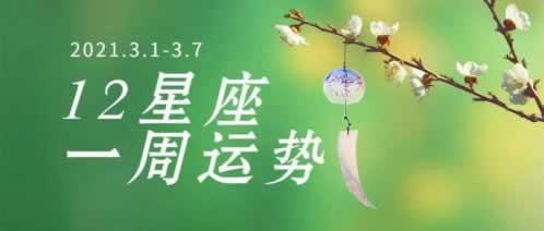如何使用报表工具监控出款审核状态 如何使用报表工具监控出款审核状态